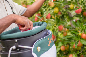 Harvestwear - Fruit Harvest Picking Bag Specialist – Harvestwear NZ